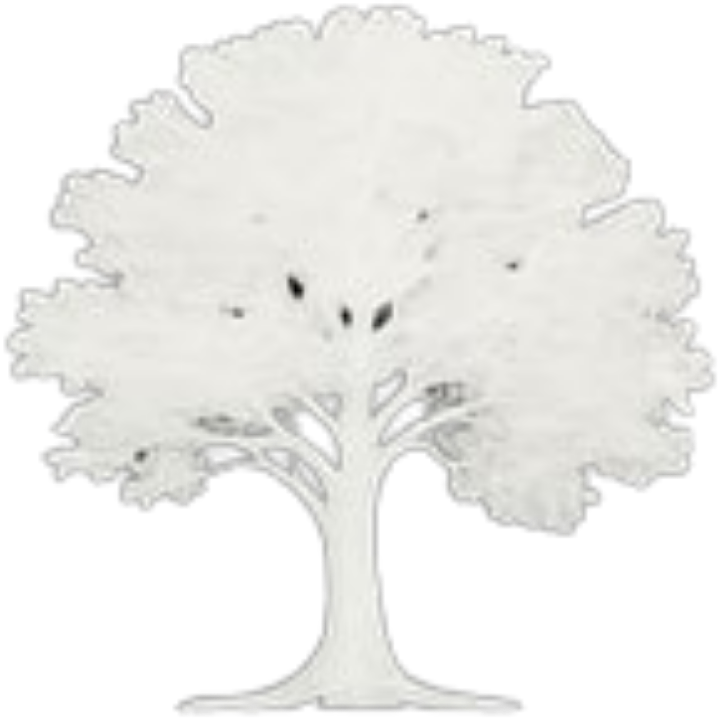 Logo Rezydencja Seniora Leśny Zakątek